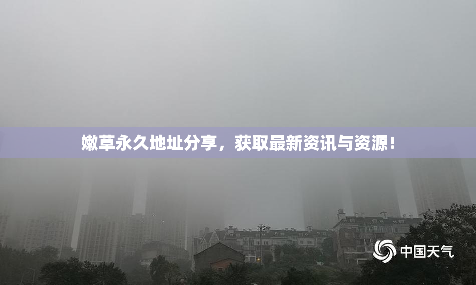 嫩草永久地址分享，获取最新资讯与资源！
