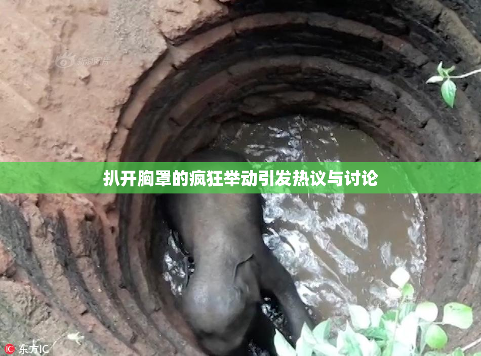 扒开胸罩的疯狂举动引发热议与讨论