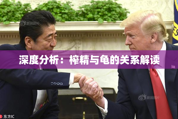 深度分析：榨精与龟的关系解读