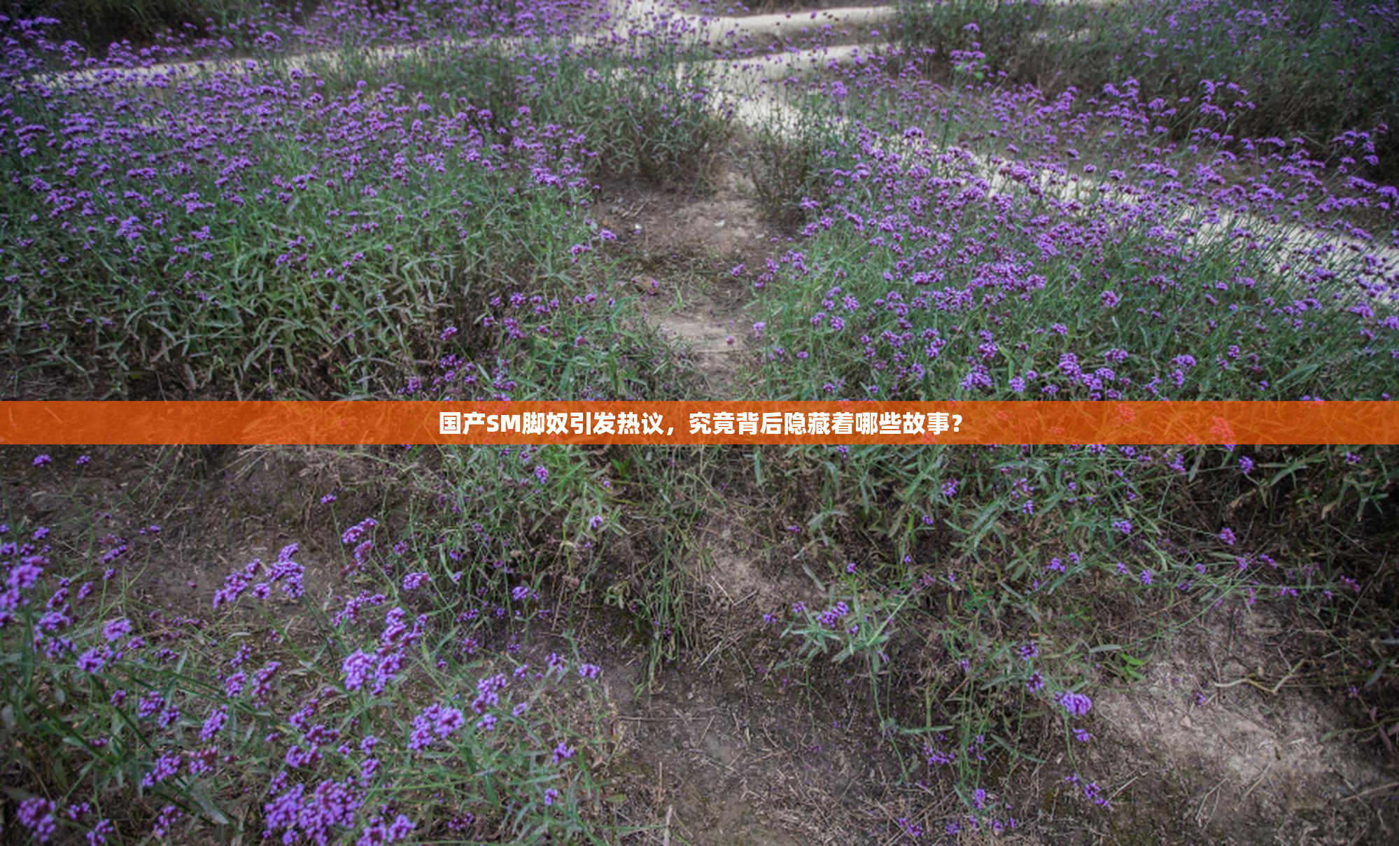 国产SM脚奴引发热议，究竟背后隐藏着哪些故事？