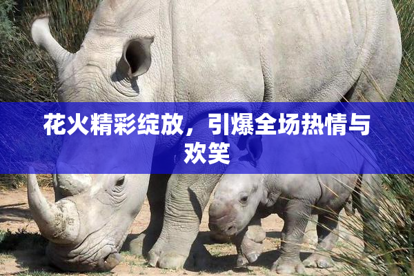 花火精彩绽放，引爆全场热情与欢笑