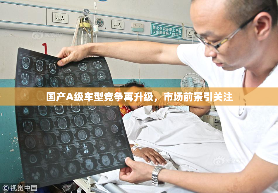 国产A级车型竞争再升级，市场前景引关注