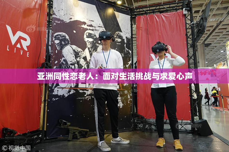 亚洲同性恋老人：面对生活挑战与求爱心声