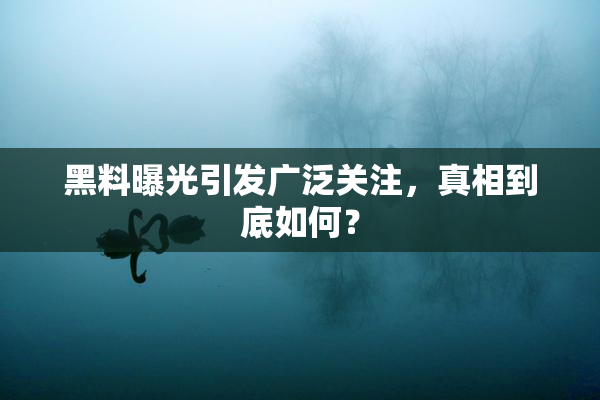 黑料曝光引发广泛关注，真相到底如何？