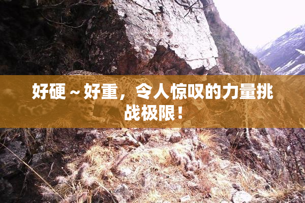 好硬～好重，令人惊叹的力量挑战极限！