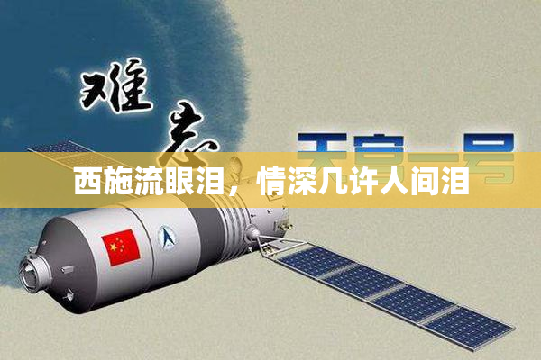 西施流眼泪，情深几许人间泪