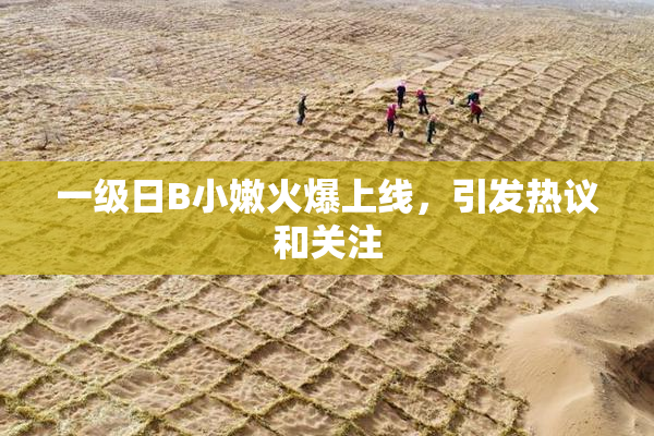 一级日B小嫩火爆上线，引发热议和关注