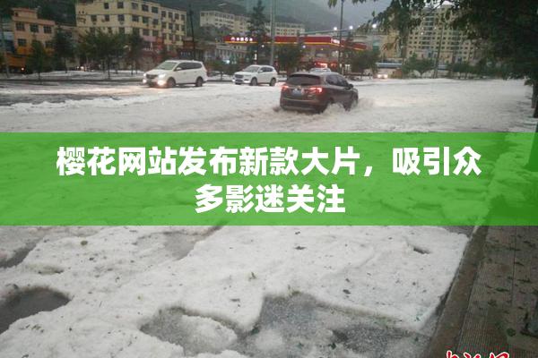 樱花网站发布新款大片，吸引众多影迷关注