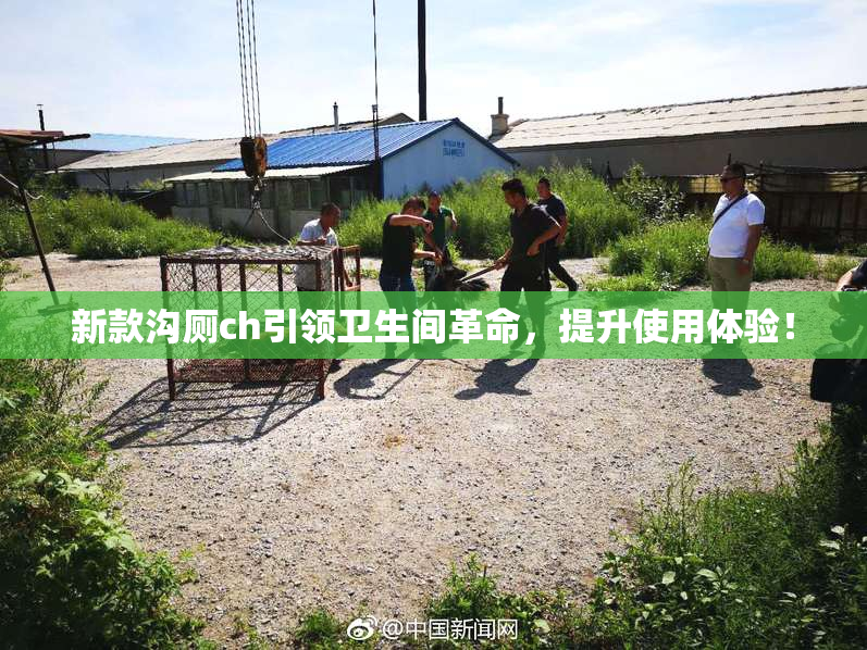 新款沟厕ch引领卫生间革命，提升使用体验！