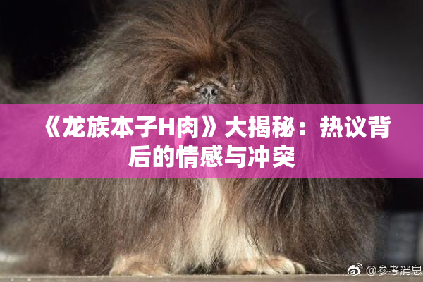 《龙族本子H肉》大揭秘：热议背后的情感与冲突