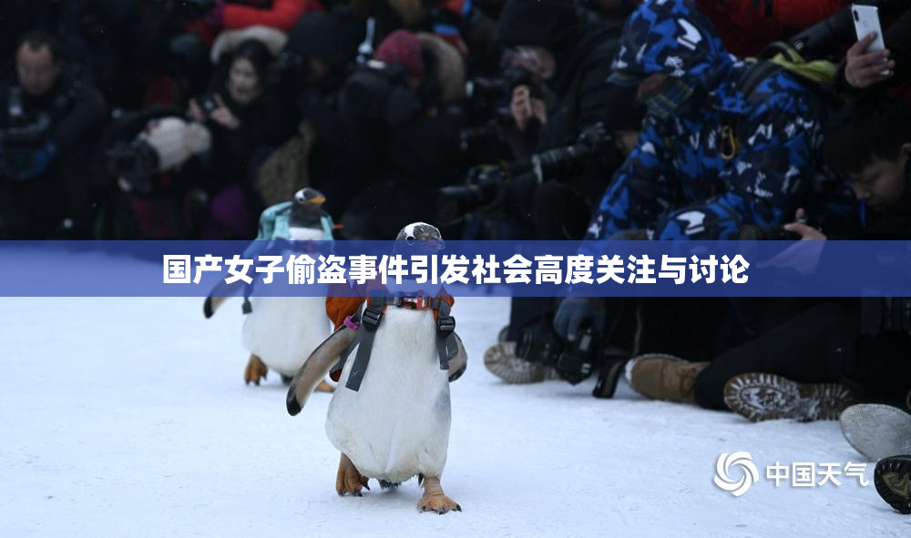 国产女子偷盗事件引发社会高度关注与讨论