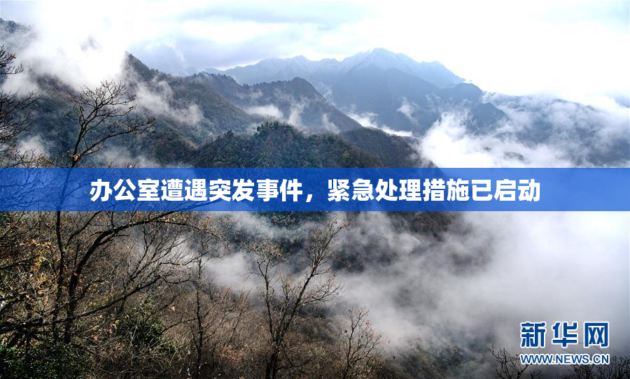 办公室遭遇突发事件，紧急处理措施已启动