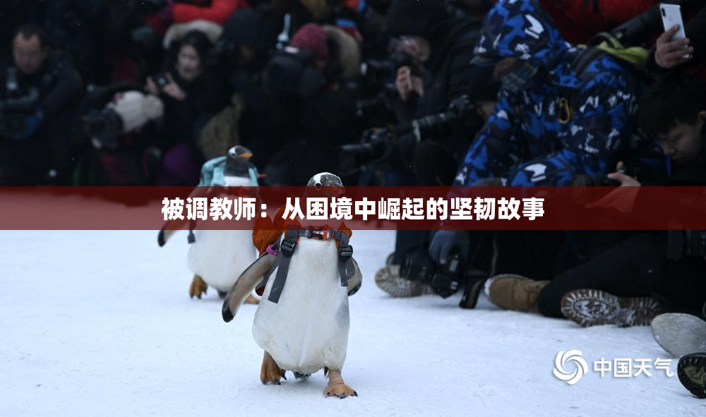 被调教师：从困境中崛起的坚韧故事