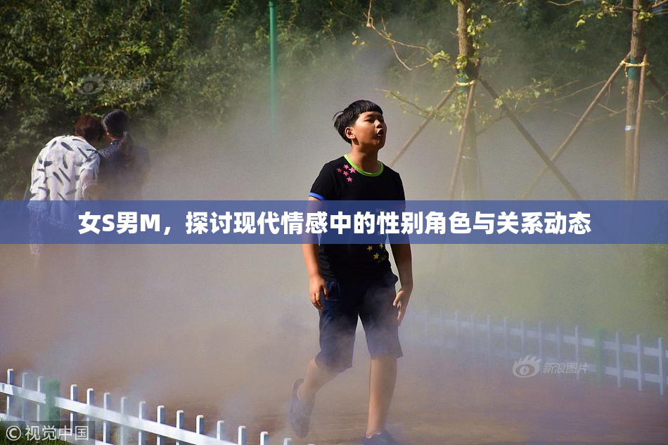 女S男M，探讨现代情感中的性别角色与关系动态
