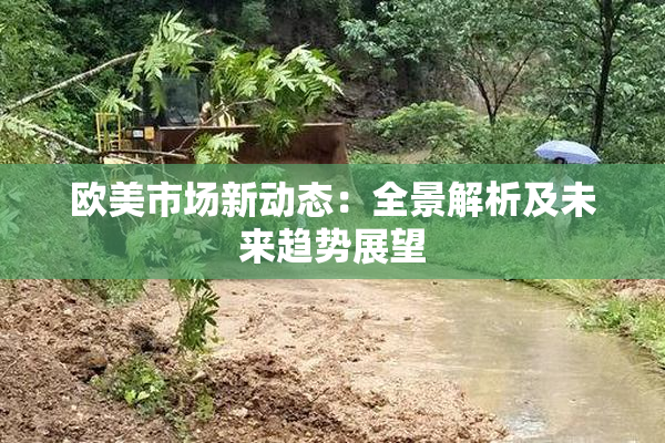 欧美市场新动态：全景解析及未来趋势展望