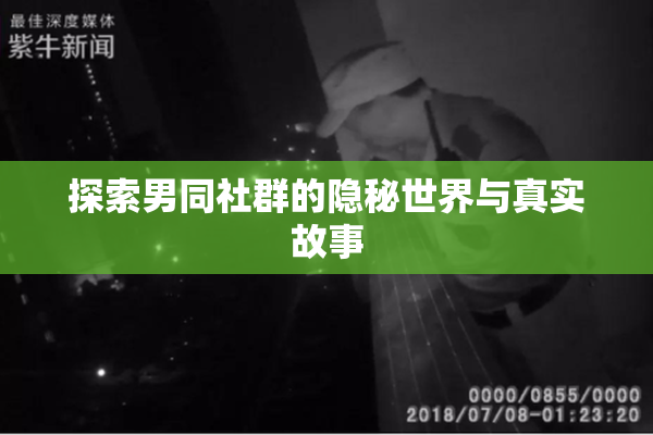 探索男同社群的隐秘世界与真实故事
