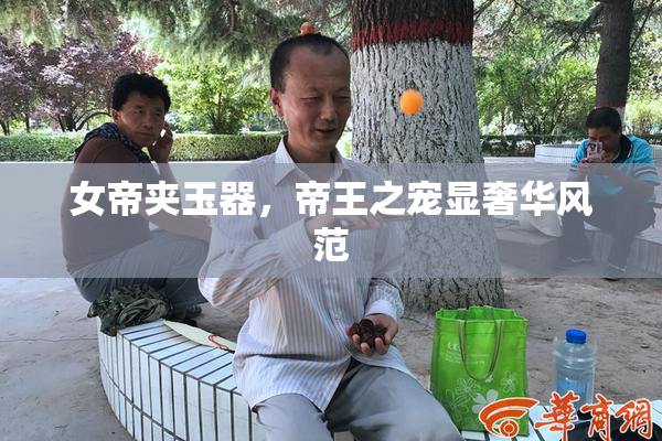女帝夹玉器，帝王之宠显奢华风范