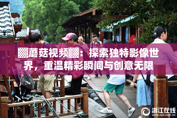 ▓蘑菇视频▓：探索独特影像世界，重温精彩瞬间与创意无限