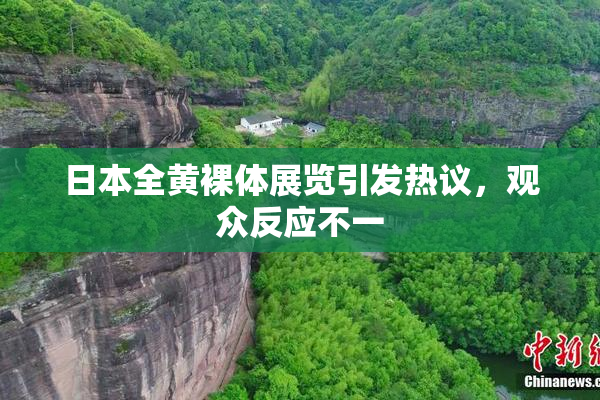 日本全黄裸体展览引发热议，观众反应不一