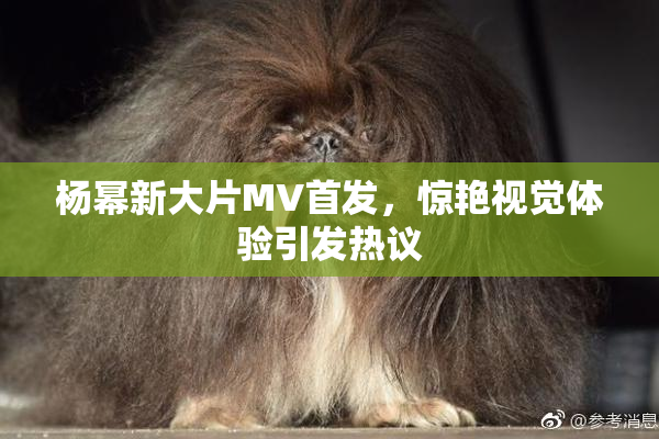 杨幂新大片MV首发，惊艳视觉体验引发热议