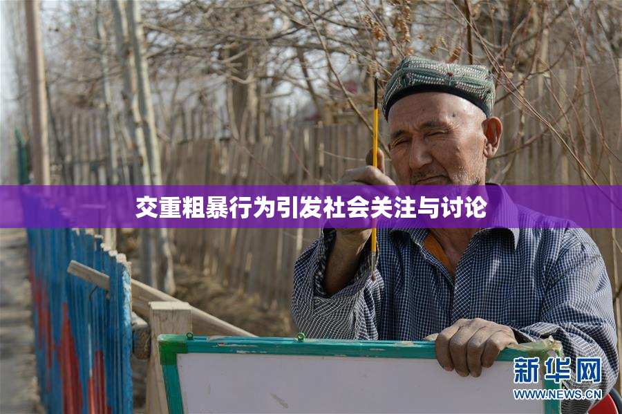 交重粗暴行为引发社会关注与讨论