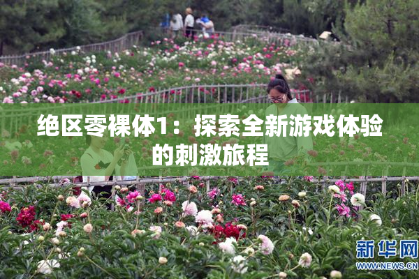 绝区零裸体1：探索全新游戏体验的刺激旅程