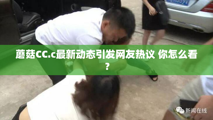 蘑菇CC.c最新动态引发网友热议 你怎么看？