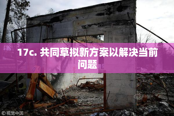 17c. 共同草拟新方案以解决当前问题