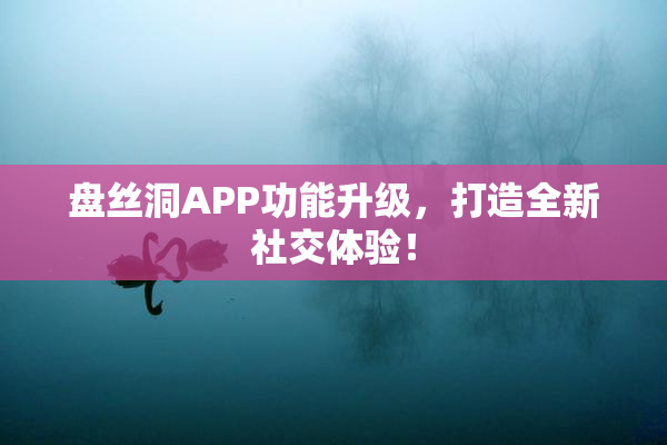 盘丝洞APP功能升级，打造全新社交体验！