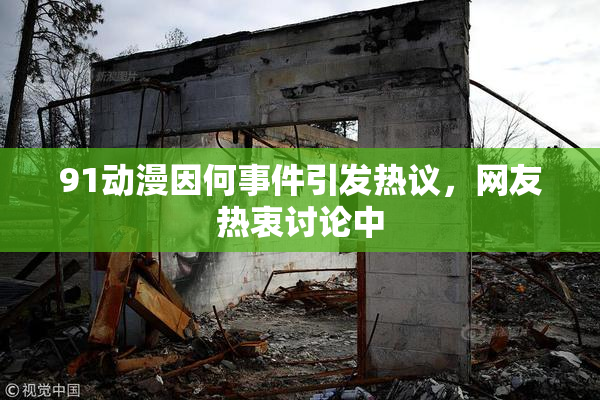 91动漫因何事件引发热议，网友热衷讨论中