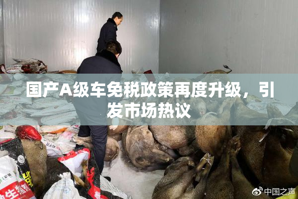 国产A级车免税政策再度升级，引发市场热议