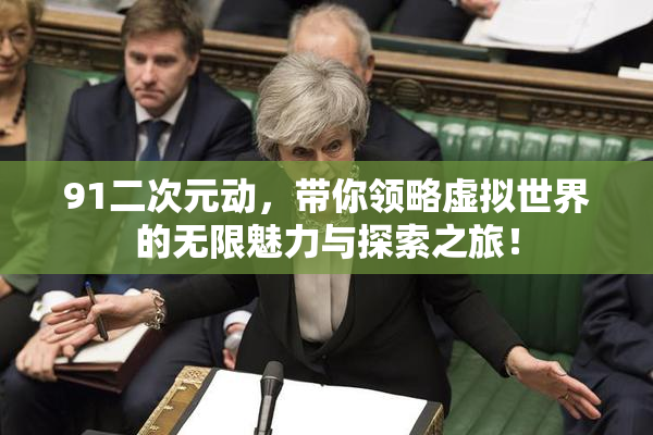 91二次元动，带你领略虚拟世界的无限魅力与探索之旅！