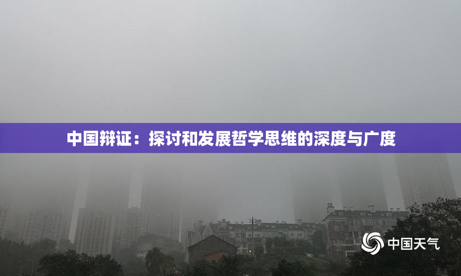 中国辩证：探讨和发展哲学思维的深度与广度