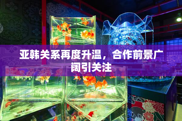 亚韩关系再度升温，合作前景广阔引关注