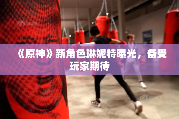 《原神》新角色琳妮特曝光，备受玩家期待