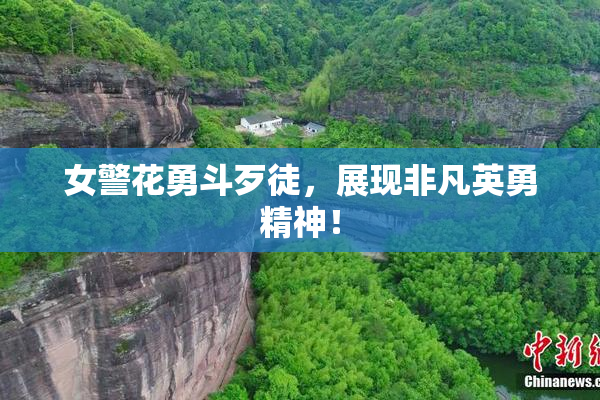 女警花勇斗歹徒，展现非凡英勇精神！
