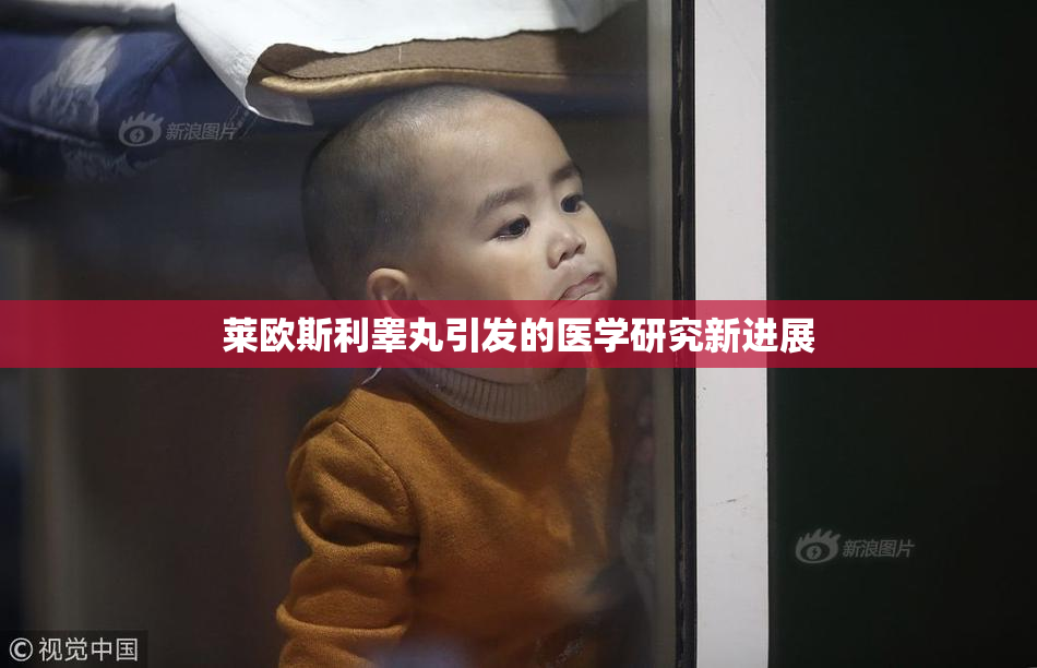 莱欧斯利睾丸引发的医学研究新进展