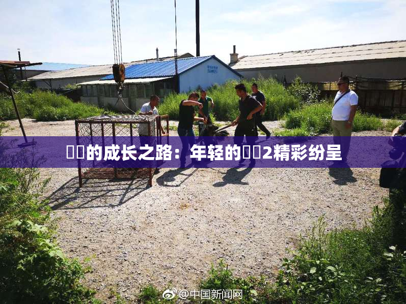 妺妺的成长之路：年轻的妺妺2精彩纷呈