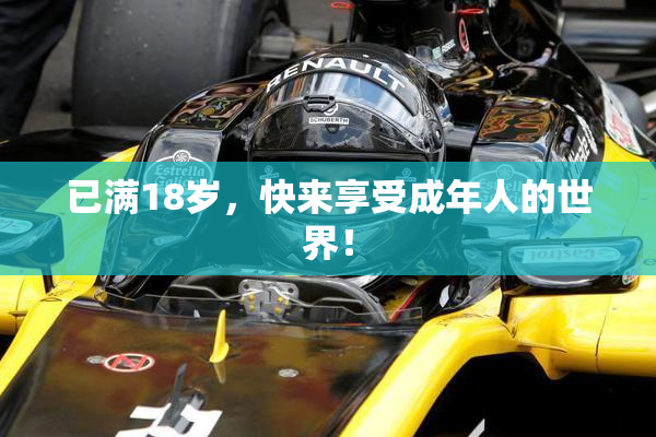 已满18岁，快来享受成年人的世界！