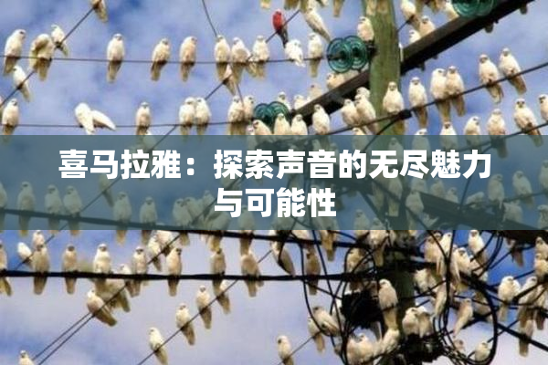 喜马拉雅：探索声音的无尽魅力与可能性