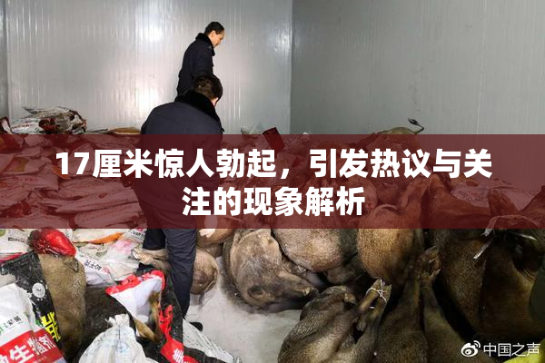17厘米惊人勃起，引发热议与关注的现象解析