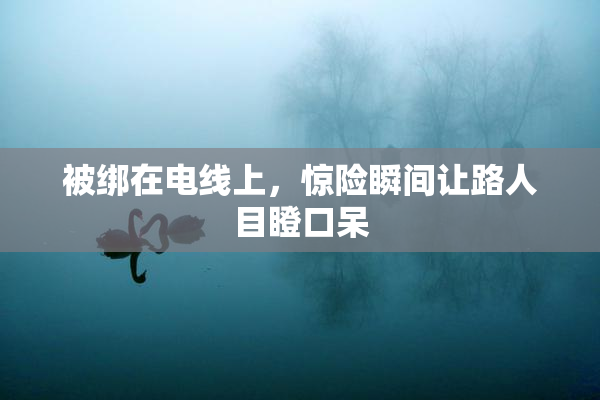 被绑在电线上，惊险瞬间让路人目瞪口呆