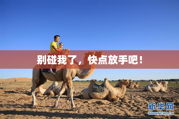 别碰我了，快点放手吧！