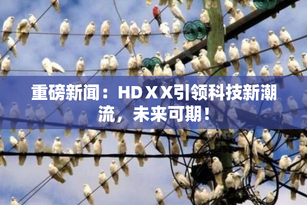 重磅新闻：HDⅩX引领科技新潮流，未来可期！