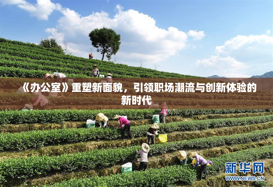 《办公室》重塑新面貌，引领职场潮流与创新体验的新时代