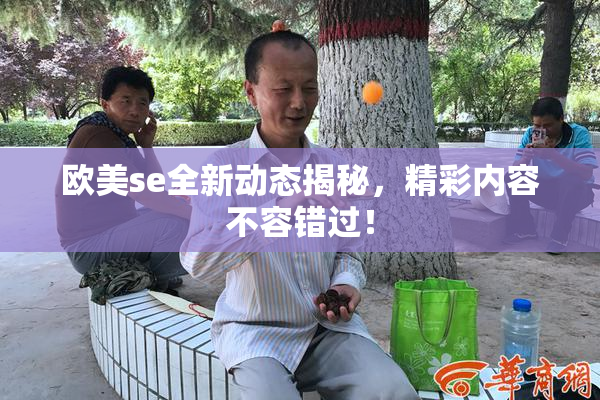 欧美se全新动态揭秘，精彩内容不容错过！