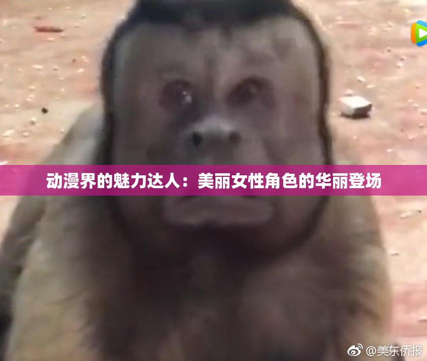 动漫界的魅力达人：美丽女性角色的华丽登场