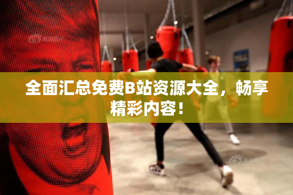 全面汇总免费B站资源大全，畅享精彩内容！