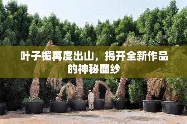 叶子楣再度出山，揭开全新作品的神秘面纱