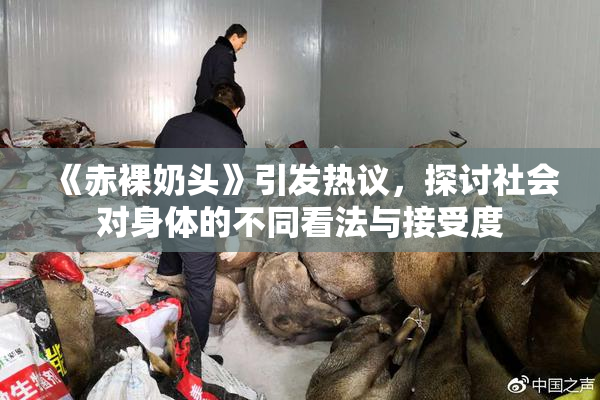 《赤裸奶头》引发热议，探讨社会对身体的不同看法与接受度